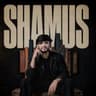 Al-Shamus